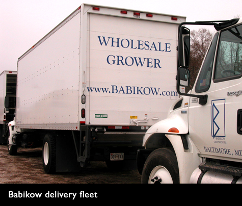 Ordering & Delivery at Babikow Greenhouses