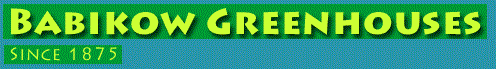 Babikow Greenhouses - Since 1875