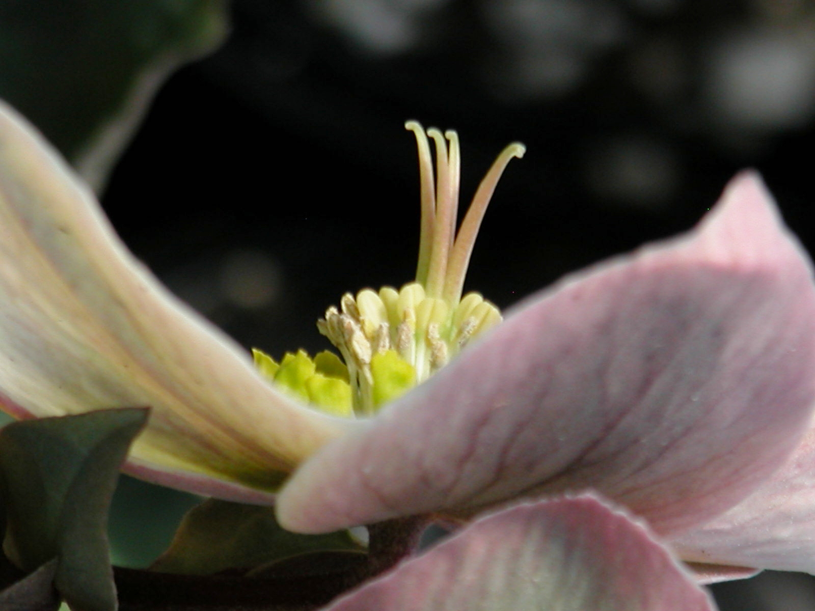  at Babikow Greenhouses