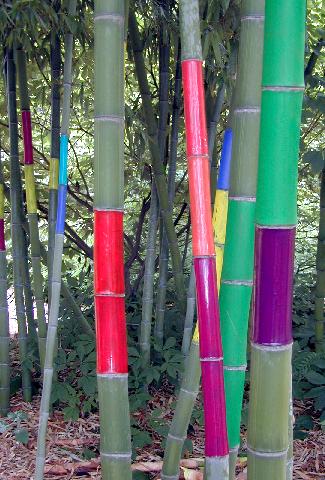 Babikow Bamboos