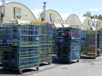 Babikow racks ready for delivery